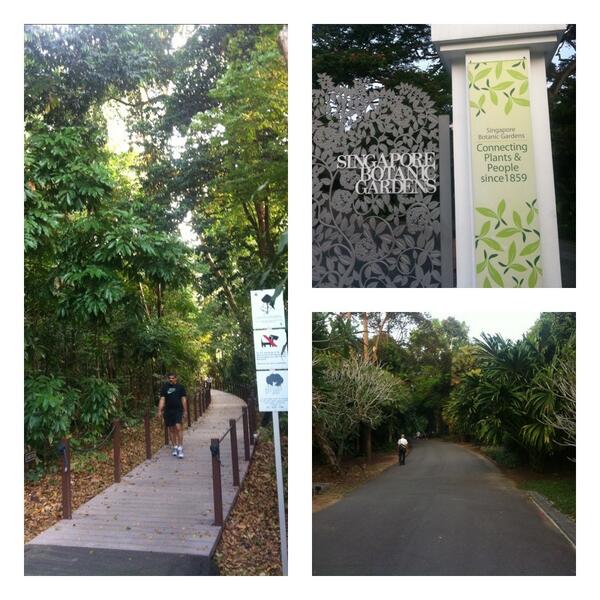 tantratobing's tweet photo. Morning jog at the Botanical Garden. http://t.co/rVNTWa9FZf