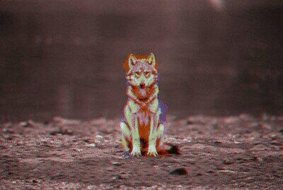 HoldingGhosts's tweet photo. ♦•♣•♠•♥ http://t.co/PCUq7vE6Oe