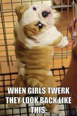 <a href="/TTLadyLuscious/">Lady Luscious</a> <a href="/MizzTwerksum/">Saturdayy</a>