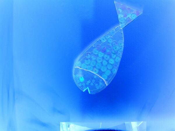 soranasecu's tweet photo. There's a fish 
on Stoneydown...
There's a fish 
on every wall in
London town.
Daylight, light
Nighttime, blue. http://t.co/2wKp2WjNdU