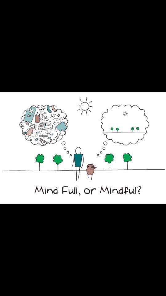 #mind full or #mindful !