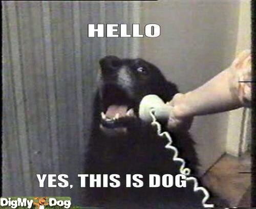 AdorOverLoad's tweet image. Haha makes me laugh every time!!!