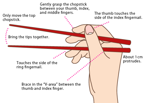 Pics4Learning's tweet photo. Learning to use chopsticks http://t.co/W6qNRmmmui