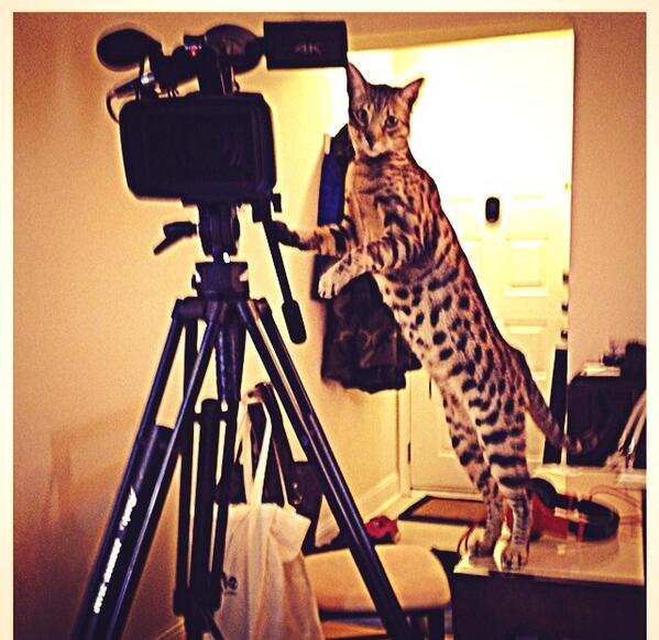 Bambuofficial's tweet photo. Hard at work filming the vlogs #bambuPVP #dopefreshnation http://t.co/sIP4m2eHfC