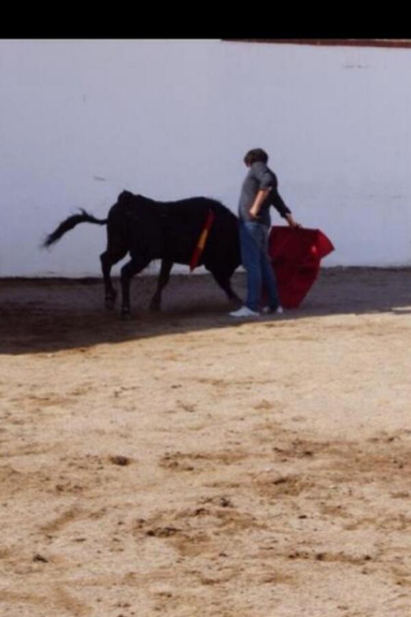 AParedesA tweet picture