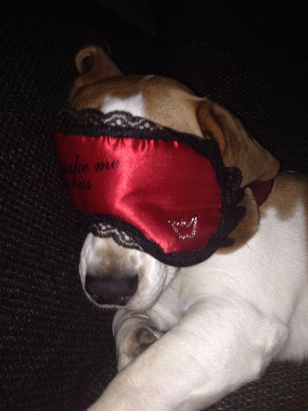 Ich bin sooooo müde ^^ ;)