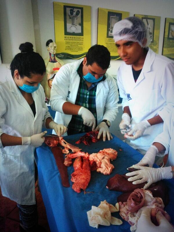ottomartz's tweet photo. Practica de medico forense http://t.co/RTNbmaqWD4