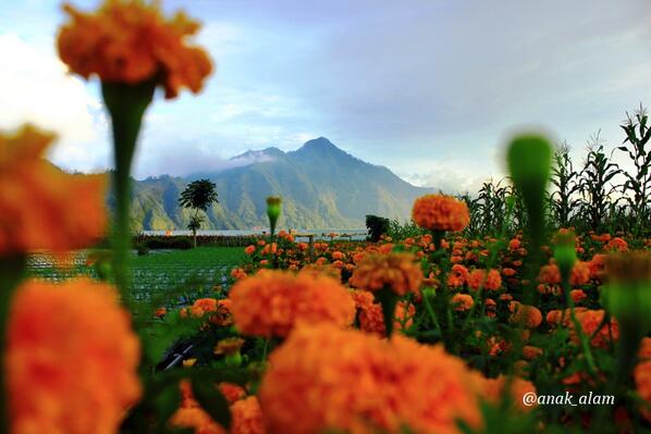 Pulang, kemBali. ke alam. :) #balilebihcantiksederhana