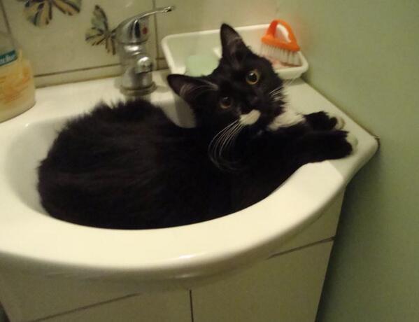 Katru rītu zobu mazgāšanas laikā