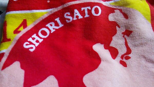 コンサートで使いたい(    ･ω･    )