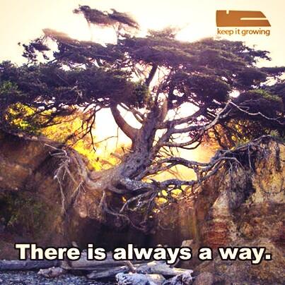 queencitypretty's tweet photo. When you have exhausted all possibilities. Remember this, you haven't. ~Edision http://t.co/JKzpdaxd4T