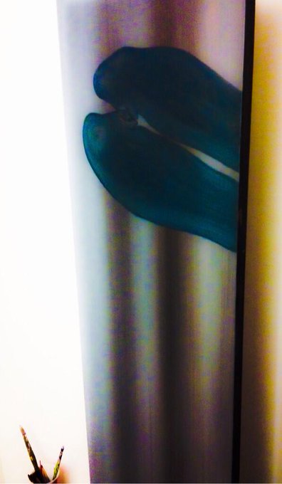 I painted my fanny... http://t.co/rWV9Cr4bJQ