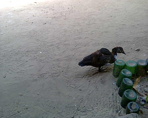 NPondja's tweet photo. http://t.co/STNscAcdfk