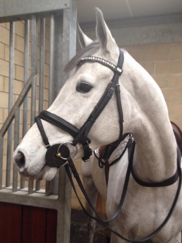 VictoriaHoland's tweet photo. Bounty all ready for her first event of the season. http://t.co/dok4tRnNYU