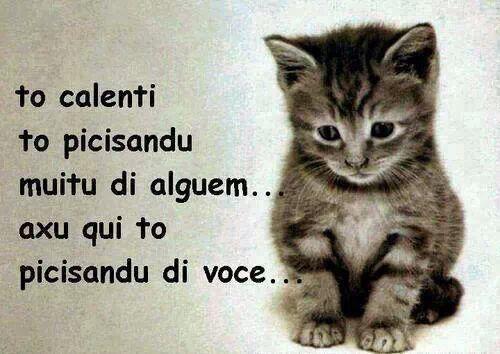 Constrantine's tweet image. Fodasse o mundo acho vc de mais