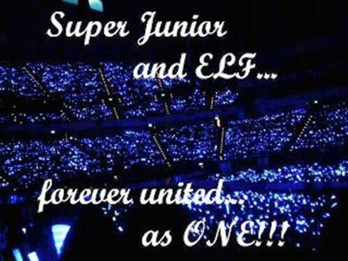 __donghaeSJ's tweet photo. Super Junior + ELF = FOREVER #SUPERSHOW5RPTLDAY2 http://t.co/UdWtSYw1Co