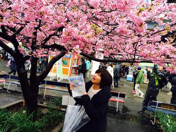 chiiiiiip's tweet photo. 三浦マラソンの応援に！寝坊してゴールに間に合わなかったけど桜祭りを楽しんできたー！晴れてる日はオススメ！ http://t.co/aWlXnKmIZX