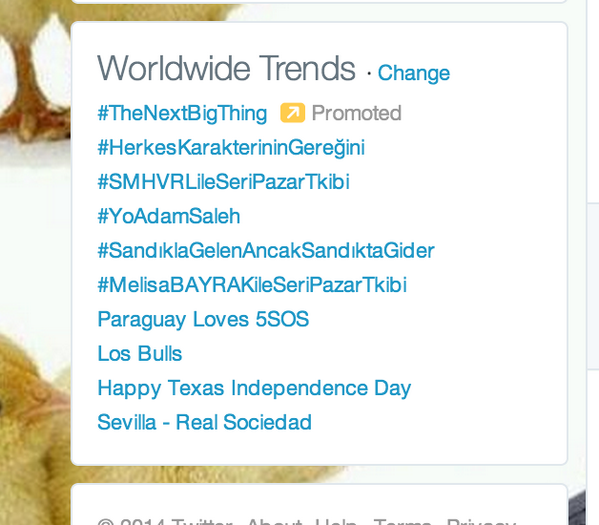 omgAdamSaleh's tweet photo. WOWWWW! You guys got #YoAdamSaleh trendingggg now! Showing themmmmmm which Adammmmmmm! Thank you Adoomies! LOVE YOU! http://t.co/uEvghupNNR