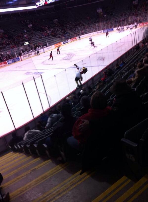 Hawkey The Hawk tweet media