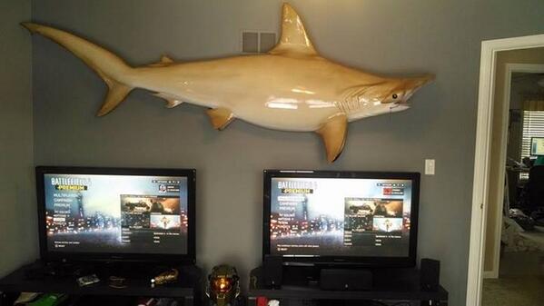 Battlefield's tweet photo. Looks like we can call off the search - Zach D found something in the water...  #SetupSaturdaySunday
| http://t.co/bzZjLocTLK