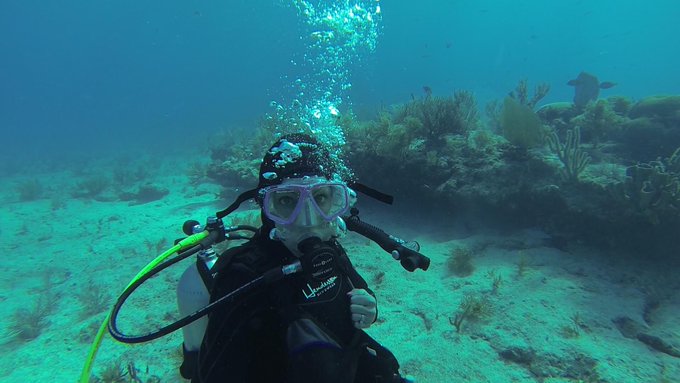 A few pics from today, including the Moray eel that I got to pet. http://t.co/FiJFMZZ8dj