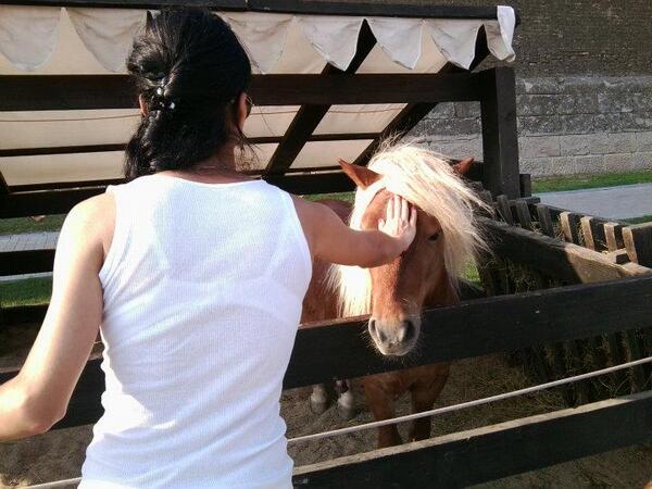 Hayvanları Gerçekten Çok Seviyorum Ben :)) Ne Kadar Tatlı Değilmi ...