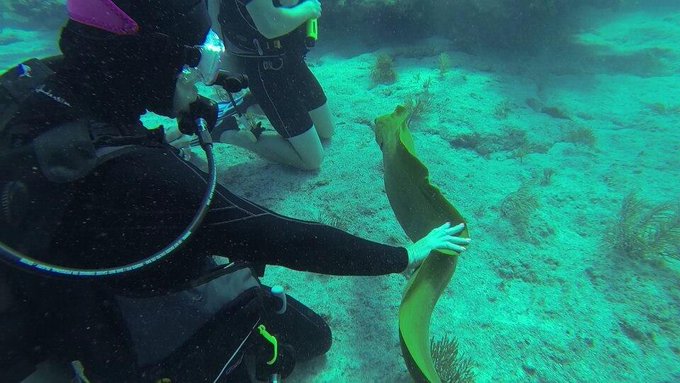 Pic #3 http://t.co/vhY267AHqc<a href="/tag/gobolts"class="tags"><span>#gobolts</span></a><a href="/tag/boltswin"class="tags"><span>#boltswin</span></a><a href="/tag/chivstbl"class="tags"><span>#chivstbl</span></a>