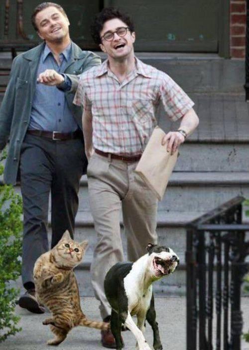 LoVuonline's tweet photo. Geez this photo makes me #smile 
#harrypotter and #Leo http://t.co/QlYTT1UYkD