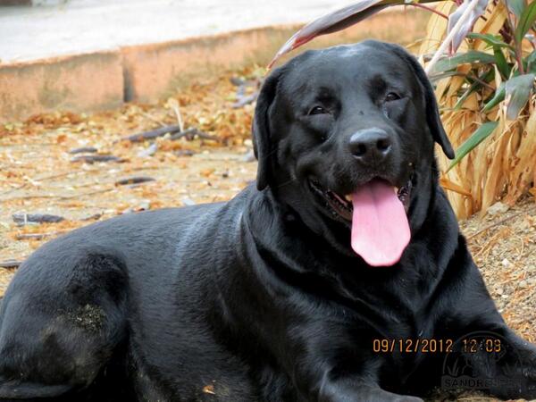 FernandoSA5's tweet photo. Floria http://t.co/lUZmUzqMhh