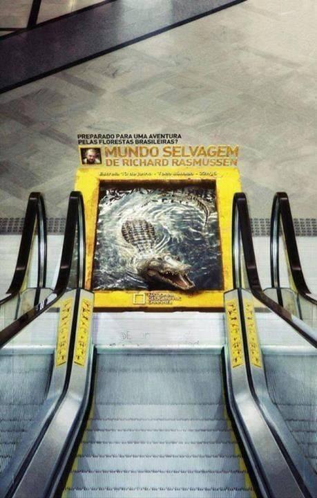 HuffPostUK's tweet photo. National Geographic just won advertising. http://t.co/v0klH0tSru http://t.co/NLNm3m5LL7
