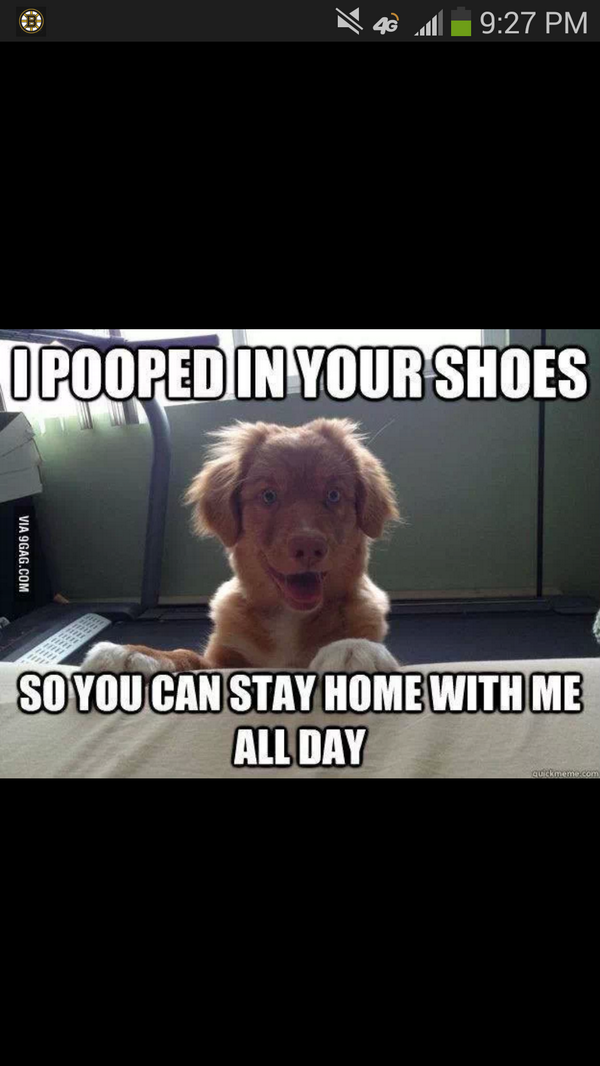 Matt Bruce tweet media