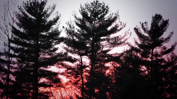 MCFDX's tweet image. First tweet yay!!!!!!!!