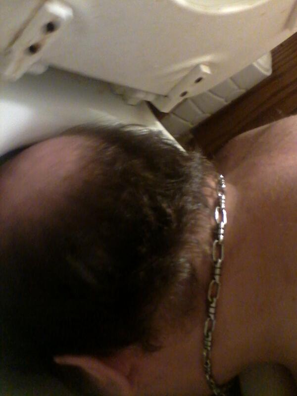 WimpyTheDonkey's tweet photo. @Pay4Degradation It's tough to take a selfie with your face in the toilet.  My #flushie for Princess http://t.co/qnpmUYBnLd