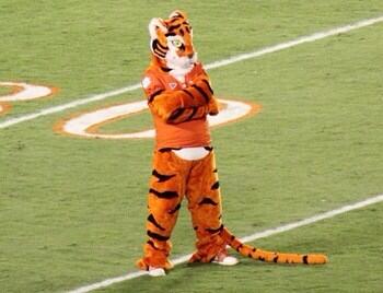 TheTiger_CU's tweet photo. If Ellen can get 1 million retweets, so can I, right?! http://t.co/sdKI3jWlw8