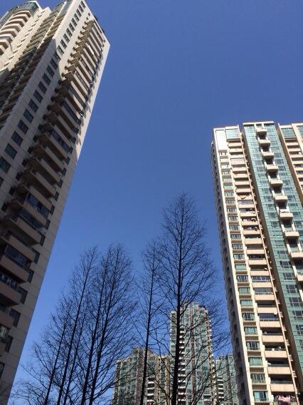LisBritton's tweet photo. It's actually been a stunning winter's day in Shanghai today. :-) http://t.co/XZKb8neGCN