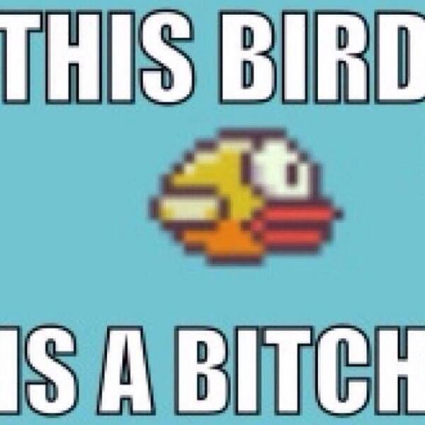 SHocknull's tweet image. 