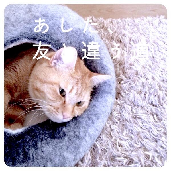 Fuuu9's tweet photo. #earthphoto http://t.co/6AwZCw5iFo