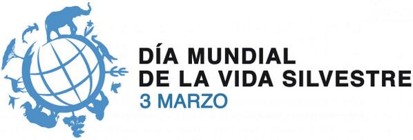 MariaEugeniaRinaudo     
 Mensaje del Secretario General de la #ONU bit.ly/1n1e5I8   #MedioAmbiente #ecologia