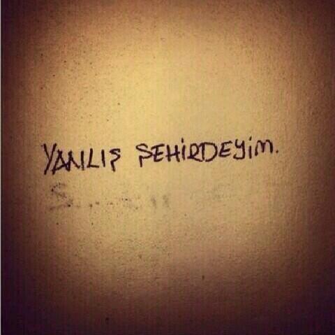 Dilan Bayram (@dilanncekerr) on Twitter photo 