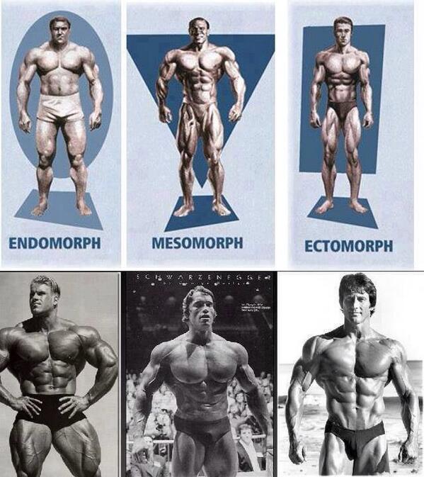 olicampbellPT's tweet photo. What's your body type? http://t.co/RdjLU8mESx