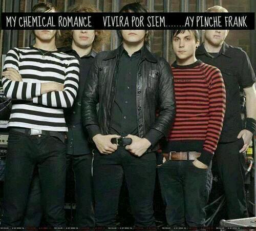 AngryBirdyn's tweet image. Frank tío!