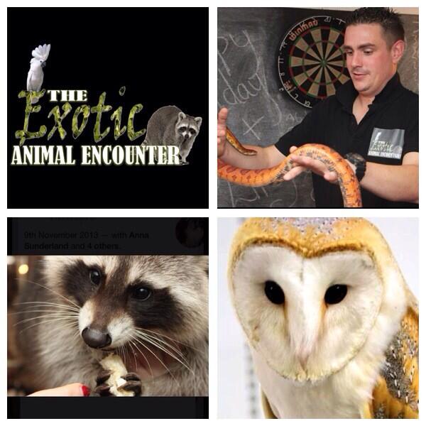 #nationsfavourite theexoticanimalencounter.co.uk