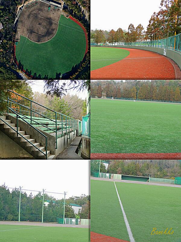 Haluhi 愛知高校野球 中学野球 على تويتر 名古屋国際 野球部は日進市にある名古屋商科大学キャンパス内の第２野球 場で活動している 綺麗な外野人工芝と豊かな自然に囲まれた素晴らしい野球専用グラウンド Http T Co 0ggbr6yjwq
