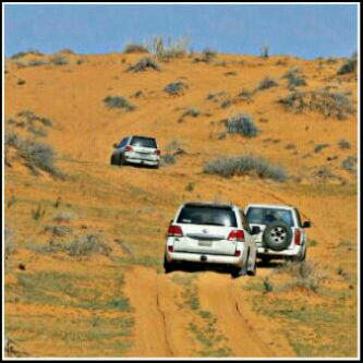 SayfCoom tweet picture