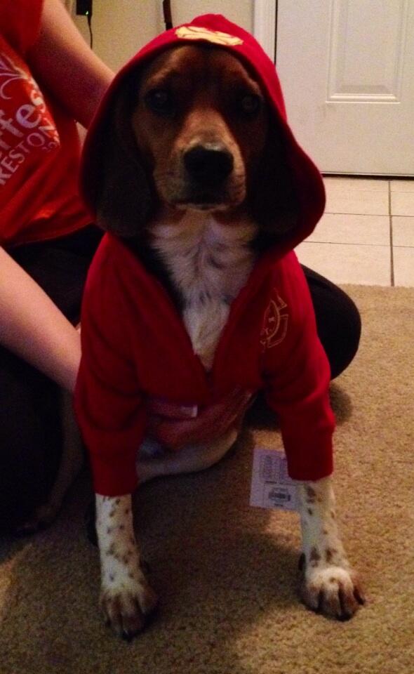 Modeling my fireman hoodie <a href="/dvwoofwoof/">Donna Veneziano</a> got me!