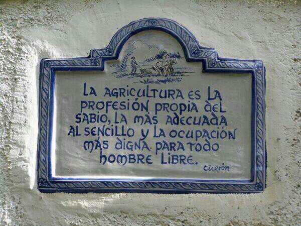 Gran reflexion de Cicceron