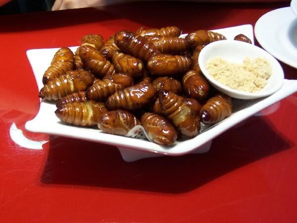 koinyay4leif's tweet photo. Silk work pupae are considered a delicacy in Korea.They're actually quite delicious, http://t.co/wTuTwJR3fj