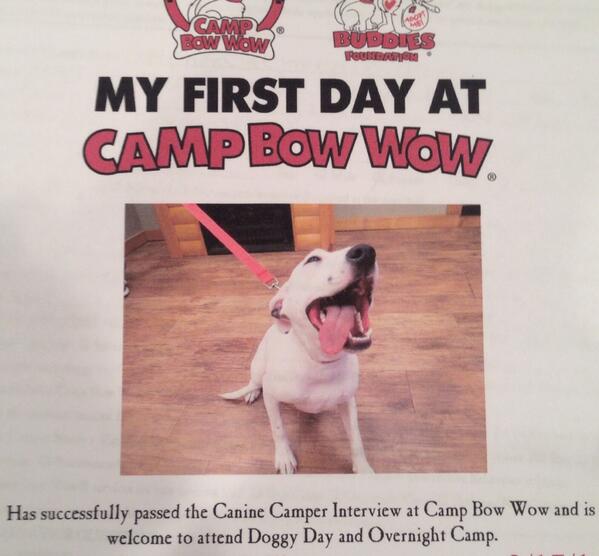 Parker0211's tweet photo. I need to go to this day camp!  What's in the doggie bowls? http://t.co/F8IhrK6UGy