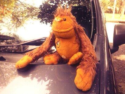 Bou will meet his friends at Samboja Lestari. Follow us then :) | cc <a href="/bornean_OU/">BOS Foundation</a> or join facebook.com/roundtheborneo