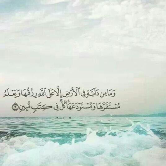 Moola♕ (@hemo389) on Twitter photo 